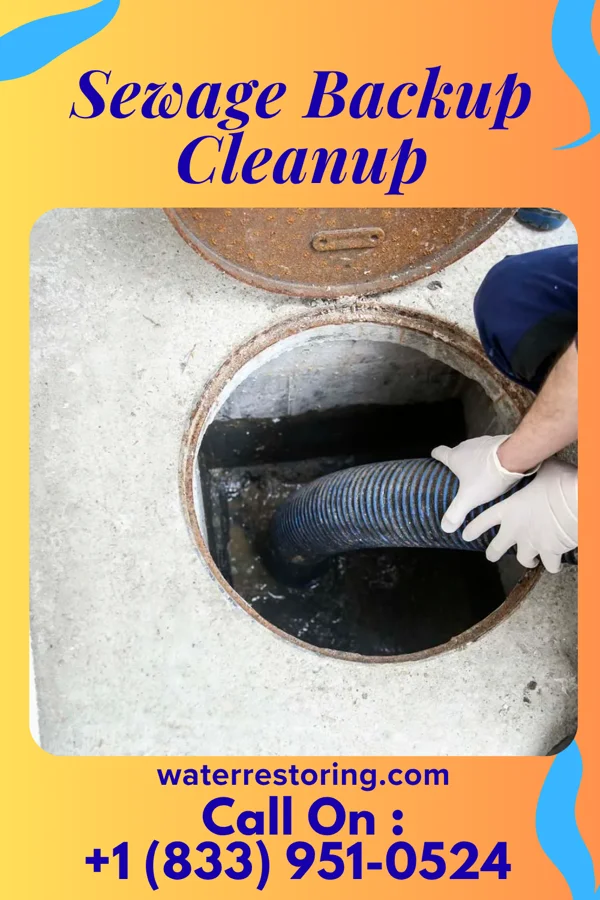Sewage Backup Cleanup in North Hornell, NY