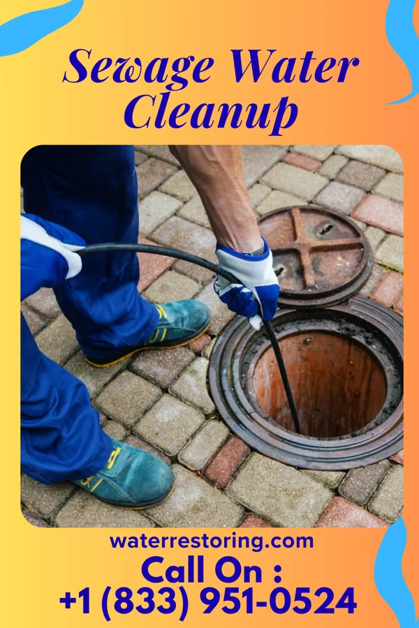 Sewage Water Cleanup in North Hornell, NY